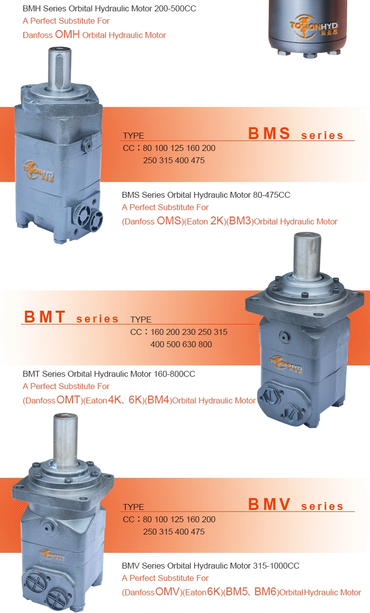 Radial Piston/Orbital/Mini Hydraulic Motor Gear/Gerotor/Oil/Drive Wheel Motor Parts Spare Repair Kit Sauer Danfoss Rexroth Poclain Eaton Vickers Kawasaki Staffa